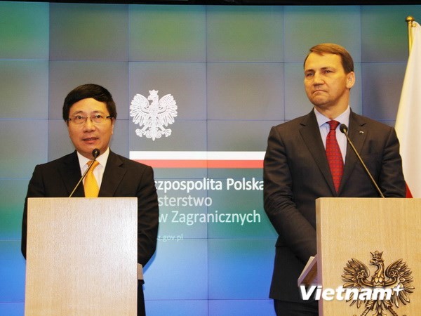 Всесторонние дружеские отношения между Вьетнамом и Польшей всё больше развиваются - ảnh 1